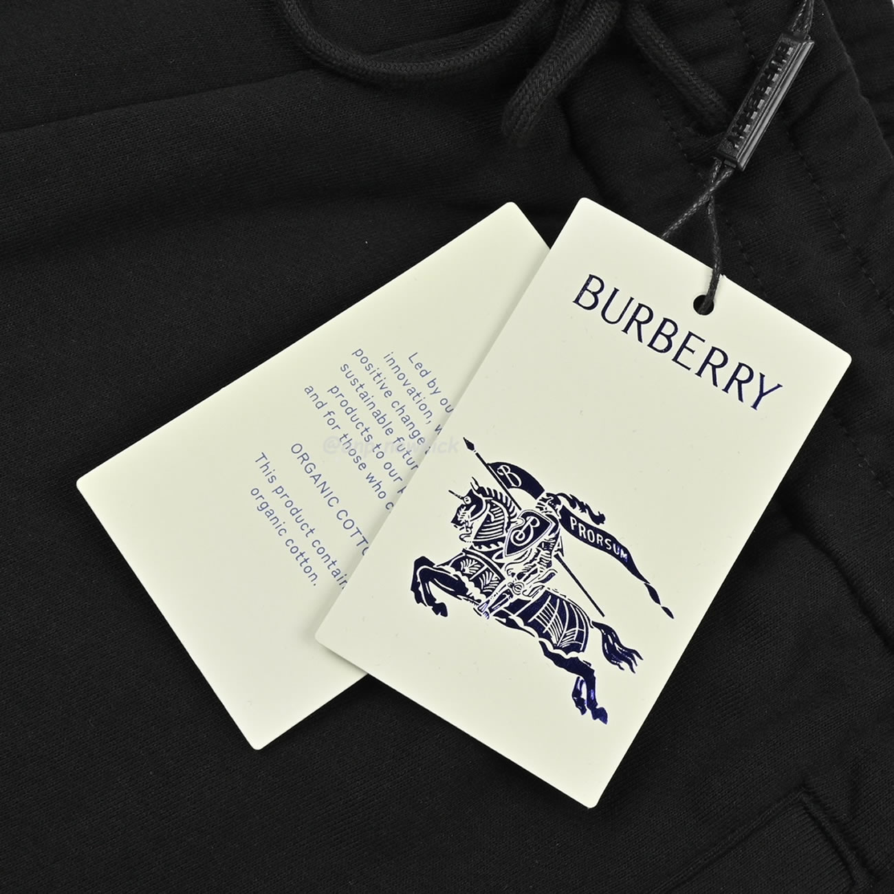 Burberry 24ss Rope Embroidered Knight Warrior Horse Small Label Colored Shorts (7) - www.newkick.vip